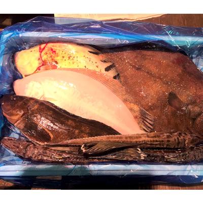 �k�C���Y�@�C�N�Z�b�g�i�����ʁjL�@�`���h