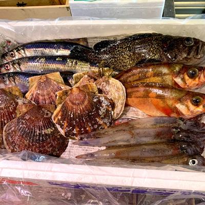 �k�C���Y�@�C�N�Z�b�g�i�����ʁjM�@�`���h