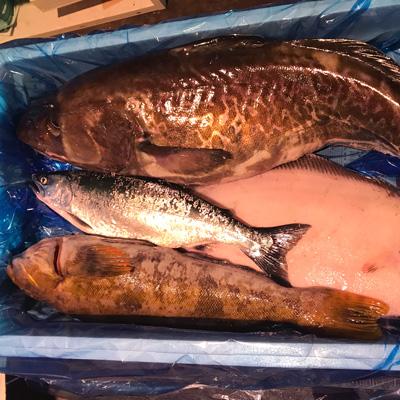 北海道産　海鮮セット（送料別）M　チルド