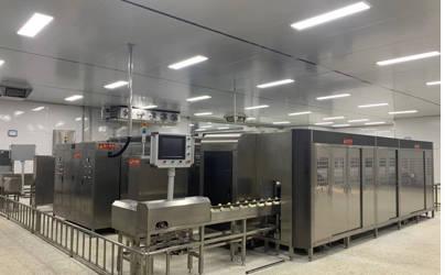 無添加無着色無香料　生大蒜おろし　にんにく　10kg