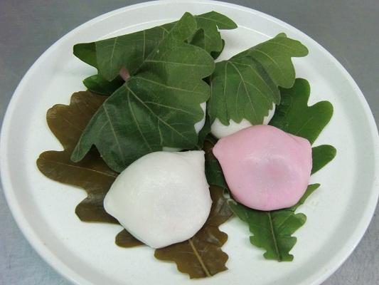 柏葉【柏の葉】大サイズ【茶】1250枚　　5月の柏餅に！　和菓子