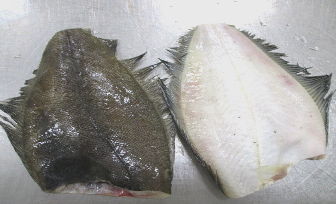 �y�����ʁz�\�E�n�`�J���C�h���X�@�P����120��〜��140��x10kg(��80��)