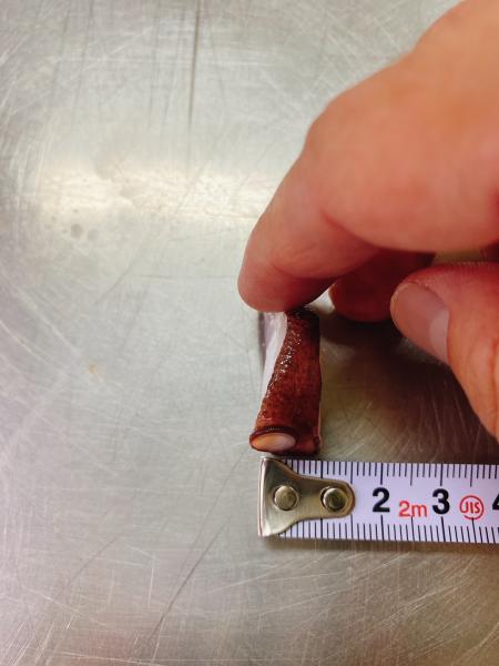 【加熱用】タコスライス（真蛸スライス）　1kg