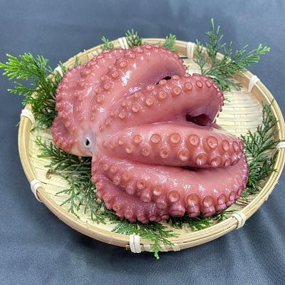 【生食可】国産ボイルタコ（ボイル蛸）　小（300g）