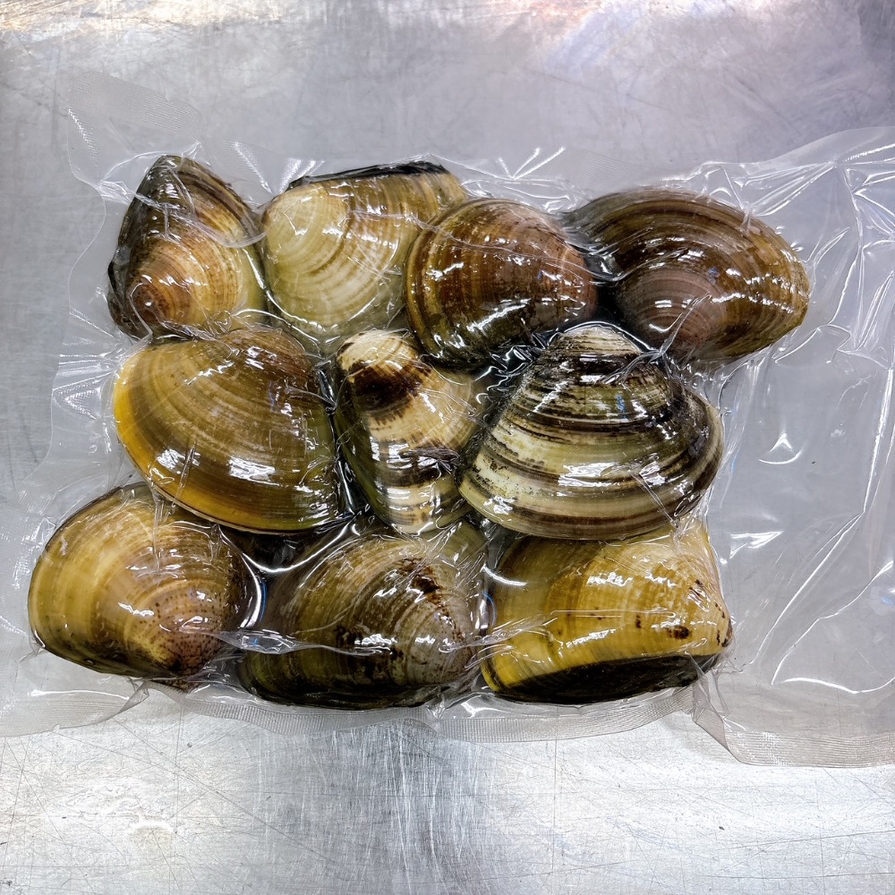 貝類-ハマグリ｜仕入れなら業務用食材卸売市場Mマート