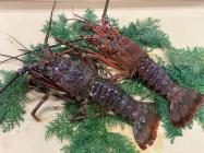 �X�܎ʐ^�E���S