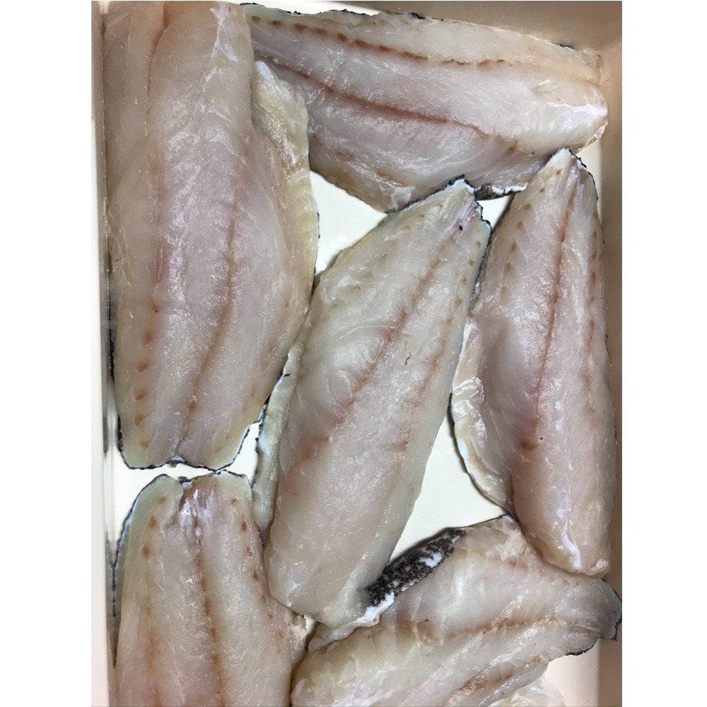 抗生物質を使わずに育てた本クエ100％のクエのフィレ