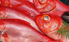 �X�܎ʐ^�E���S