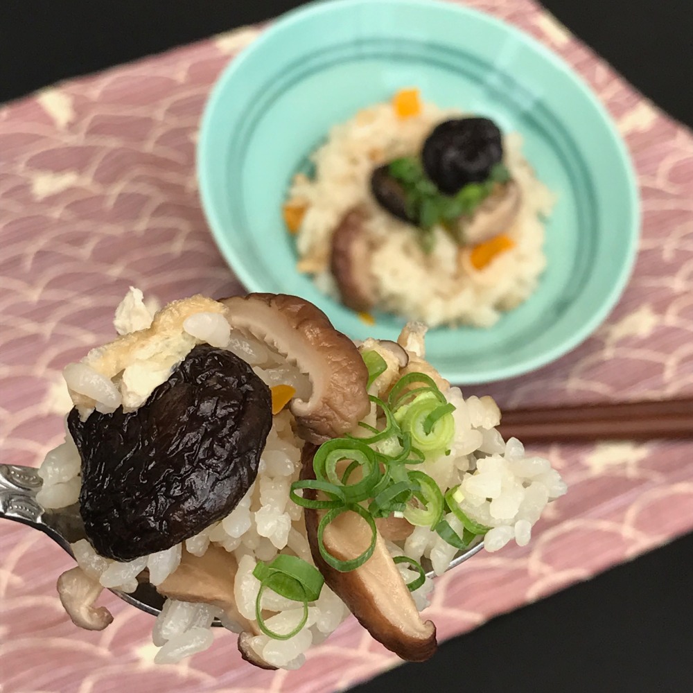 【長崎県】オーガニック有機栽培！菌床椎茸生しいたけ（大）