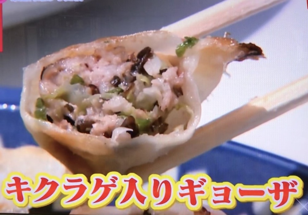 【長崎県】オーガニック有機栽培！乾燥キクラゲ　（木耳）