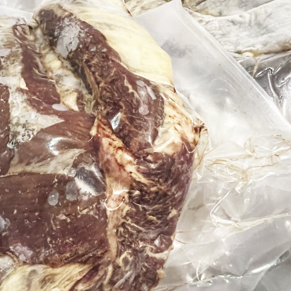 �y�����ʁzPL�Y�@�A�E�g�T�C�h�X�J�[�g�@�n���~�@�V���X�J�[�g