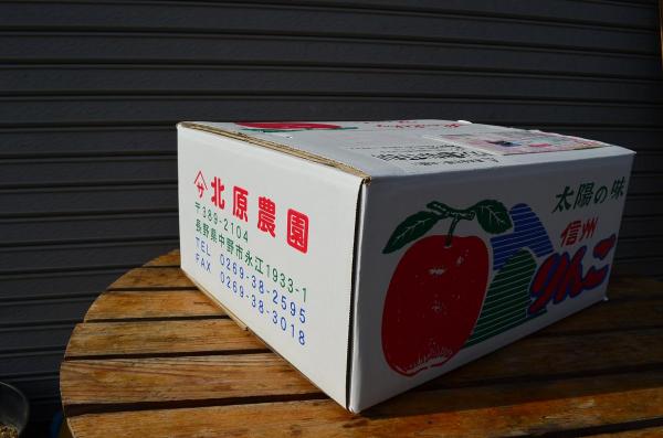 長野県産りんご　「サンふじ」　加工向き　10ｋｇ箱