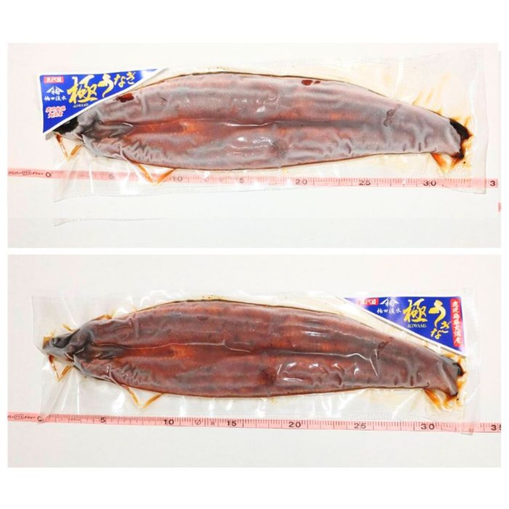 【生産者直送】国産　鹿児島県産　有頭うなぎ蒲焼き　170gx70尾