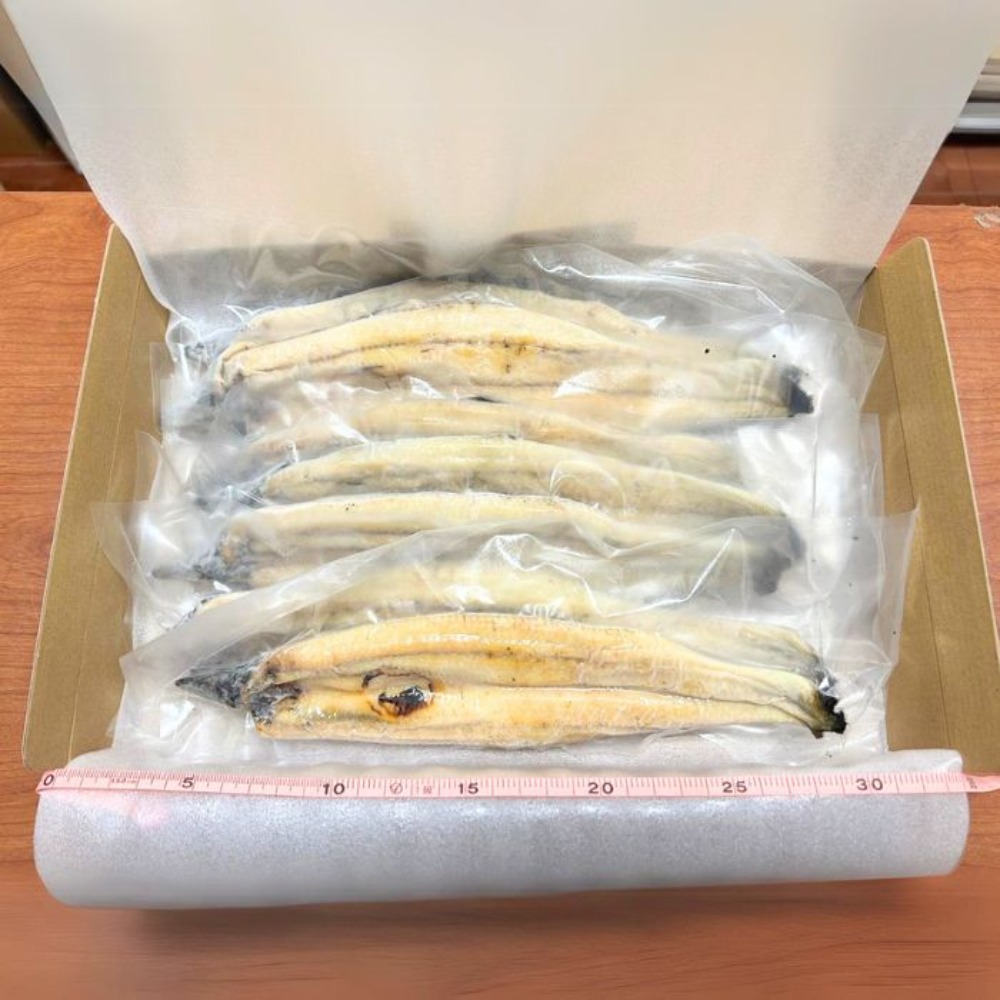 【生産者直送】国産うなぎ　有頭うなぎ白焼き　110〜129gx10尾