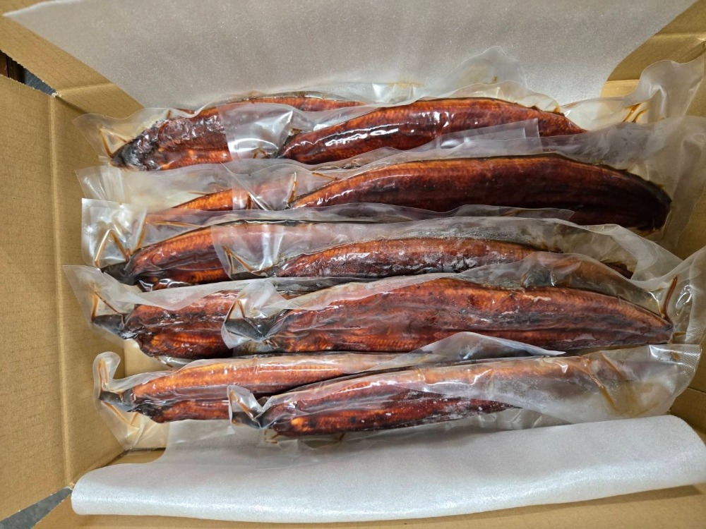 【生産者直送】国産鹿児島県産　有頭うなぎ蒲焼き190〜209gx10尾