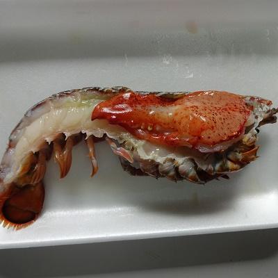 限定オマールエビ加工　