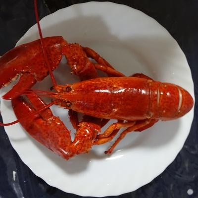 ｈｐ生冷オマールエビ400/450ｇ