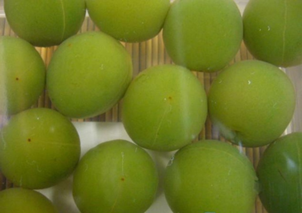 翡翠梅（国産青梅やわらか煮）５０粒x９パックひすい梅　