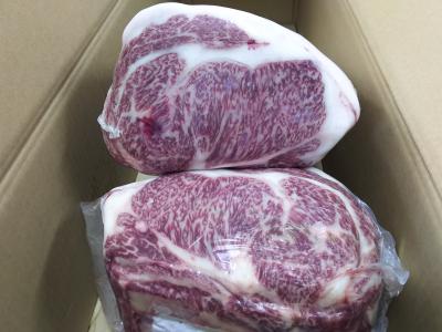 A4�����@���јa���T�[���C���@���u���[�X�Z�b�g�@