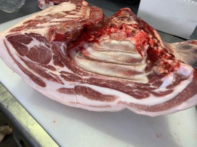 �⒆�؁@���t�������@�J�^���[�X�@�X�y�A���u�@�E�f