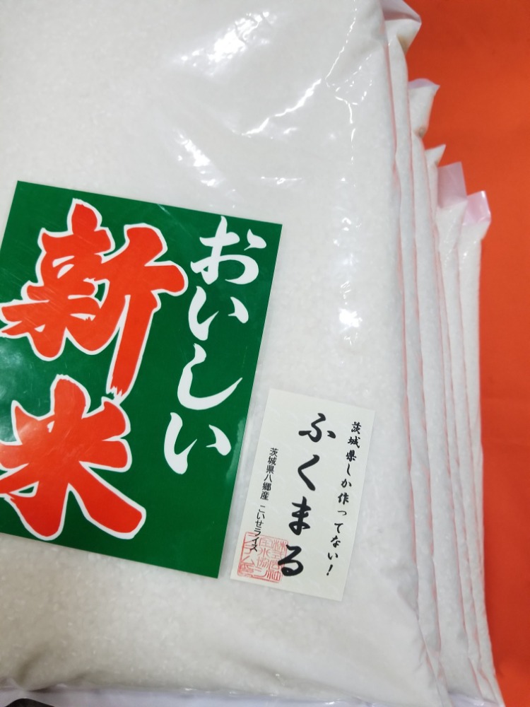 ⇩�������b�g�������Q�Ɓ��V�N�}�g�R�[�Y�ӂ��܂���I���W�i��