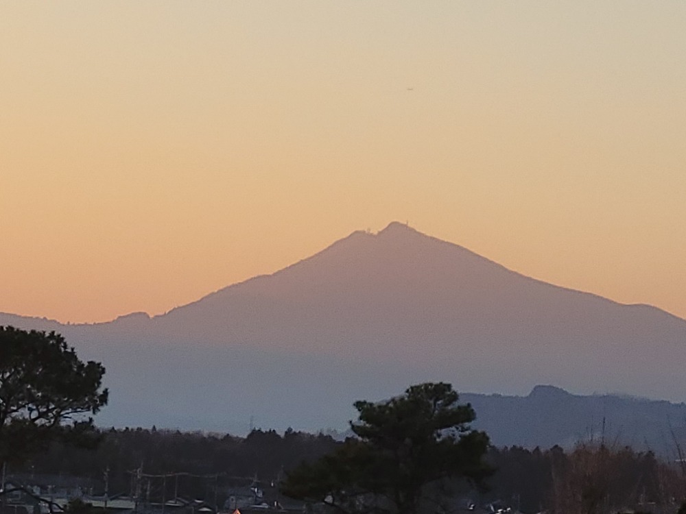 マンゲツもち米◇令和7年◇天皇陛下お田植祭作付け同品種餅米