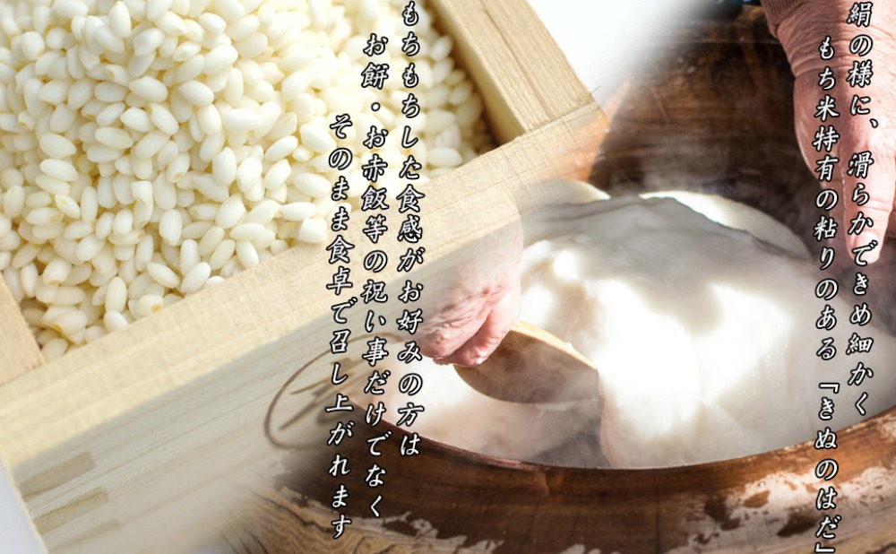 令和7年産　秋田県産　きぬのはだ　1等米　（玄米）