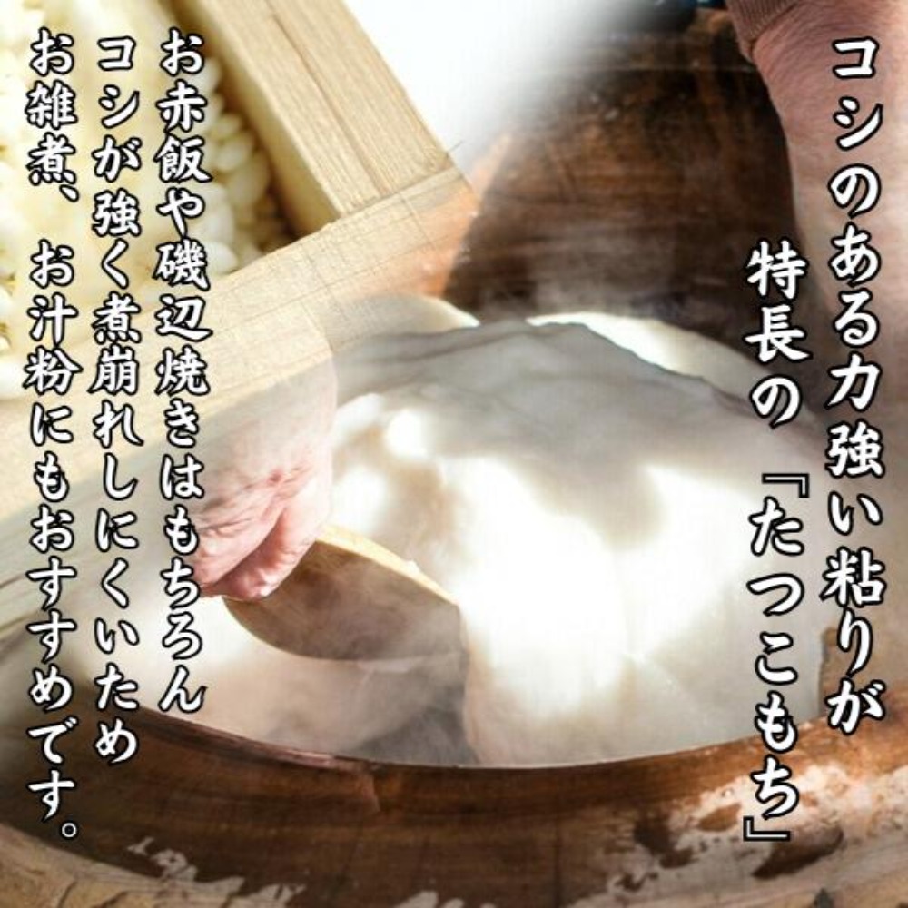 令和7年産　秋田県産　たつこもち　1等米　（玄米）