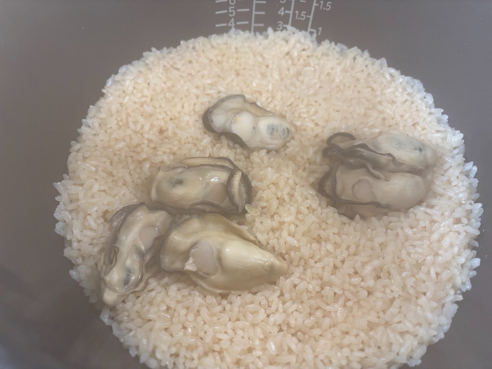 【簡単・便利】赤穂牡蠣飯の素　牡蠣の身7個入り