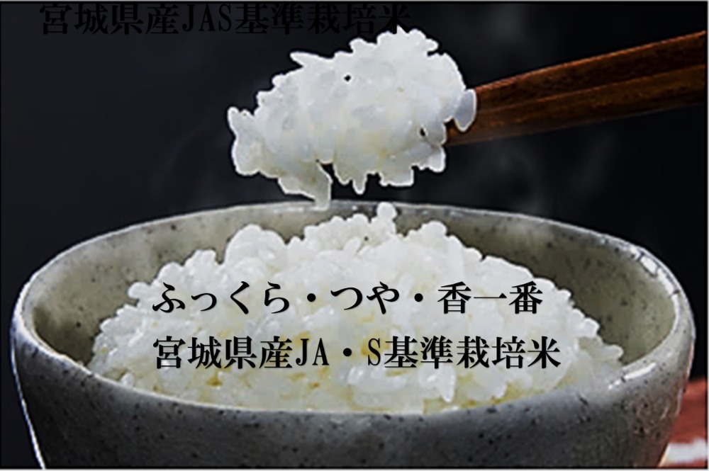 令和７年新米　宮城県産ささにしき玄米　３０ｋｇ