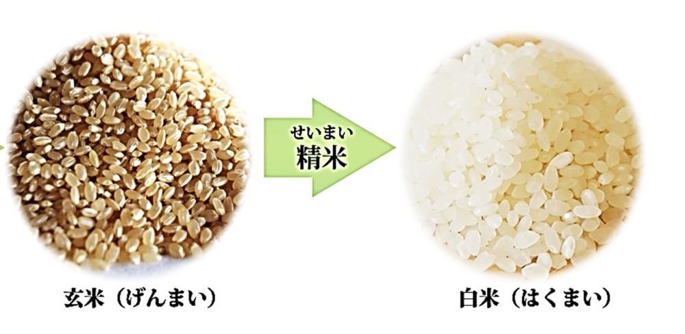 令和７年新米　宮城県産　つや姫　玄米　３０ｋｇ