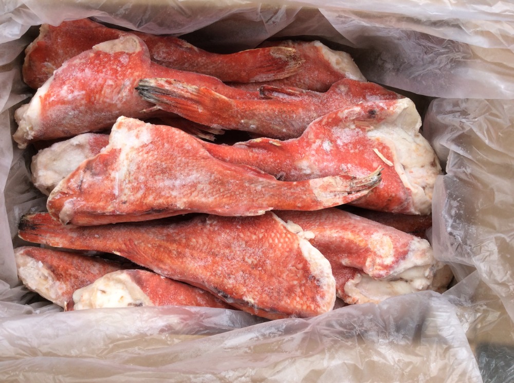 【アメリカ産】吉次ドレス６００/９００１０ｋｇ