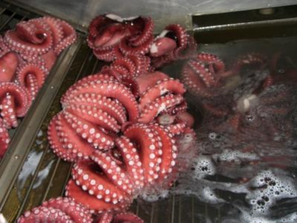 【生鮮チルド】国内加工アフリカ産たこボイルS　250〜400g前後