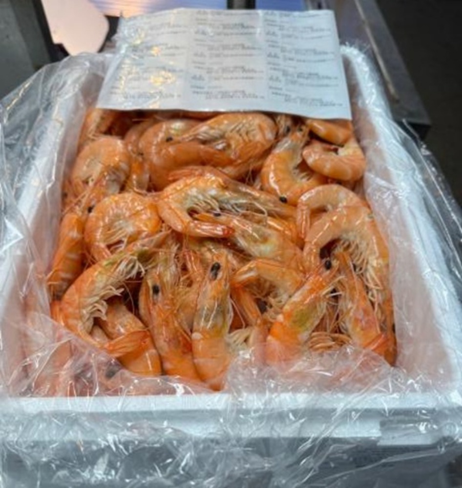 【おせち・時短】ボイルバナメイエビ（自社加工冷蔵）30/40　1kg