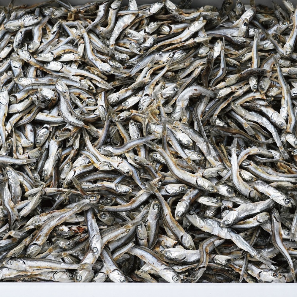 【千葉県産】　片口煮干し（良)　8.5kg　（N14）