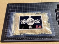 �{�߁@�����i�v���[���j