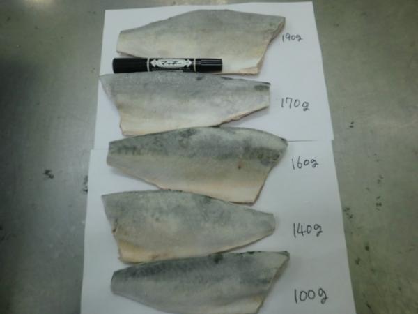 さばフィレ(約100~200g）
