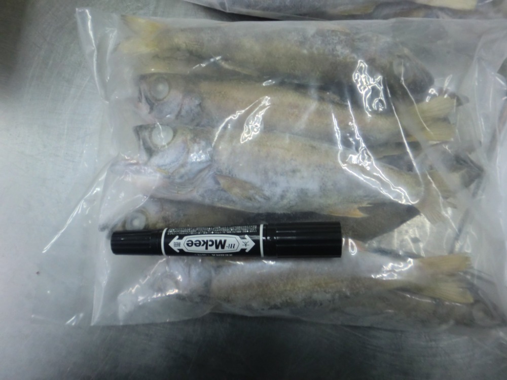 黒ムツ（ラウンド）100g上