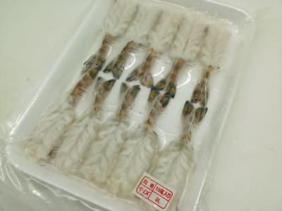 �y�����ʁz���i�l�^�@�V�R���Y���ԊC�V�J��2�k10��9-10cm