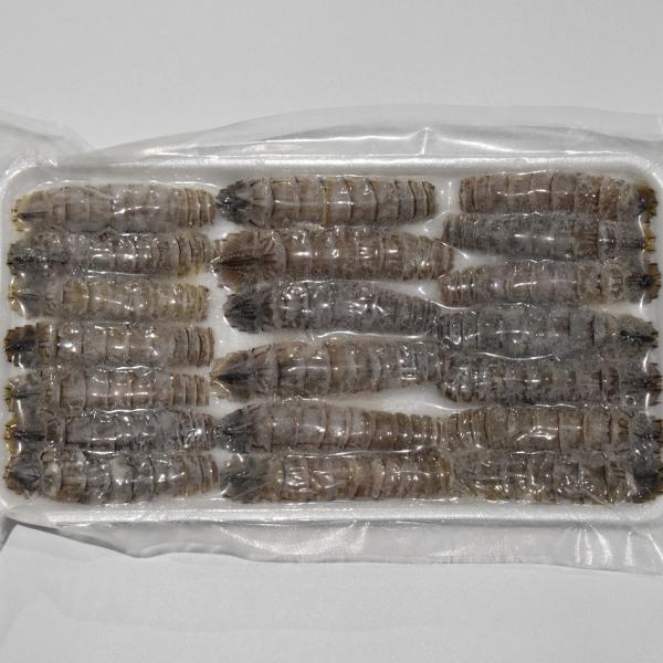 寿司ネタ　生食用　ボイルシャコ14尾　約8ｇ　蝦蛄　しゃこ