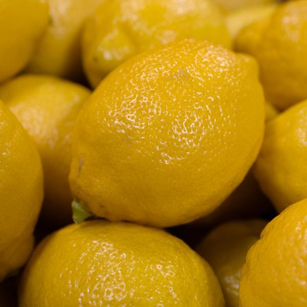 レモン　超大玉　17キロ チリ産　お値打ち　正規品 レモン 17キロ チリ産 お値打ち 正規品 レモン 超大玉 17キロ チリ産