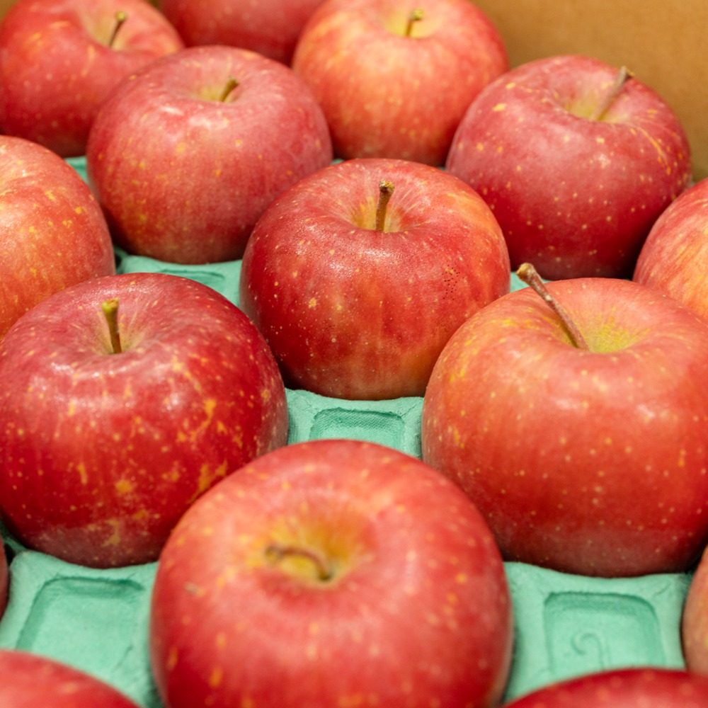 青森県産　りんご　サンふじ　40玉　10kg