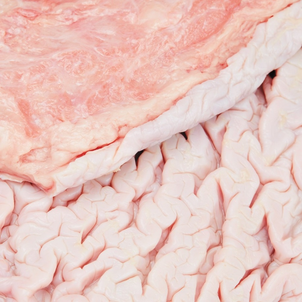 【加熱用】ニタリクジラ　胃　-百畳（ひゃくじょう）-　10kg