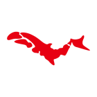 �X�܎ʐ^�E���S