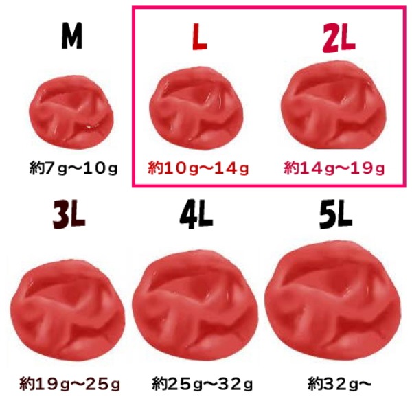 【熊野七彩】ガツン！としょっぱい男の紀州南高梅干し【260x24】