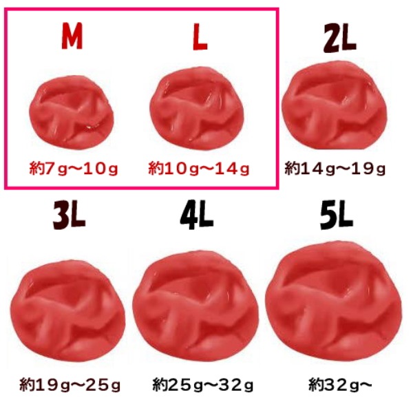 【熊野七彩】小粒だって紀州南高梅干し＜はちみつ＞【500x18】