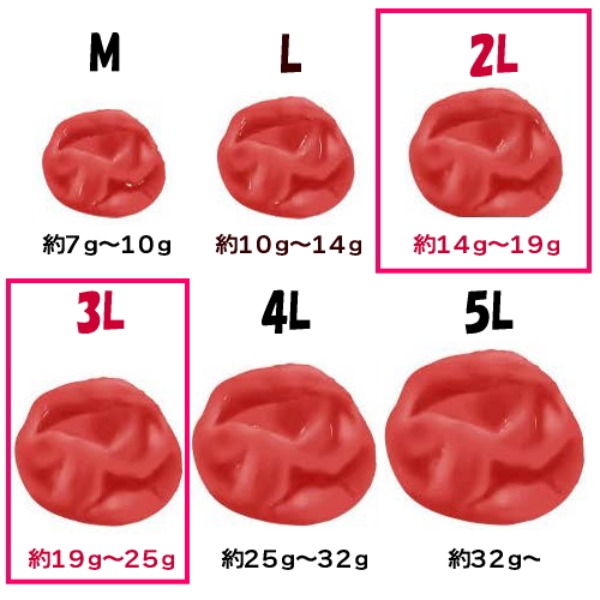 【熊野七彩】紫蘇の香が食欲そそる！紀州南高梅干し【500x2】