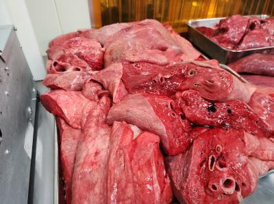 �y�����Y�z�n�@�x�@�Ⓚ