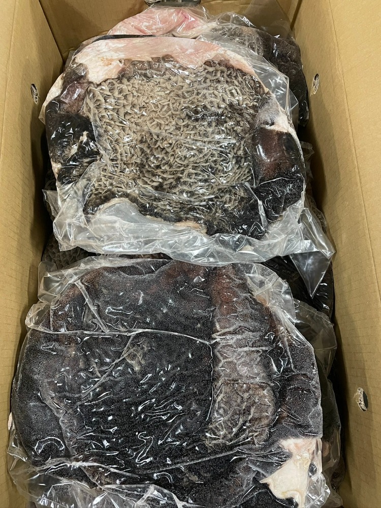 黒毛和牛　黒ハチノス　不定貫　ホルモン