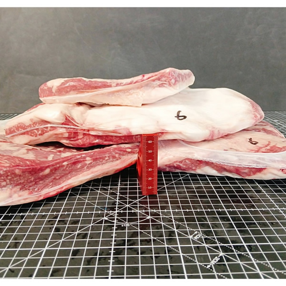 ���Y�@���G���@�J���r�ށ@�Ⓚ�@S12T